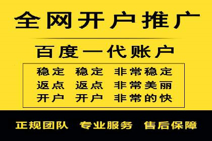 某行业头部企业信息流广告推广全解析